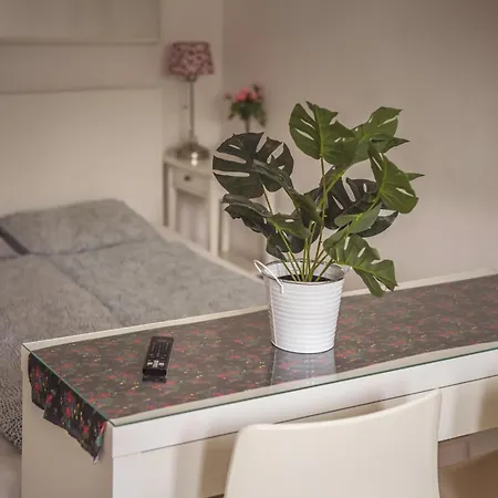 ホステル 4friends&4couples