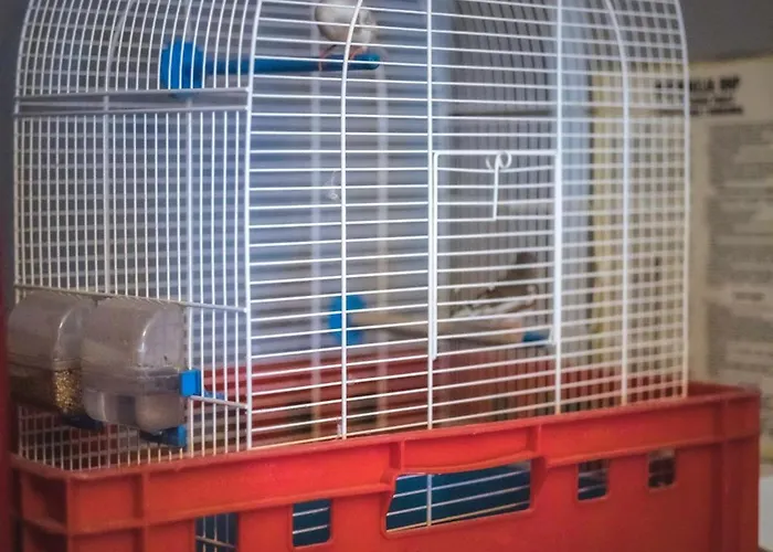 4friends&4couples Hostal Cracovia