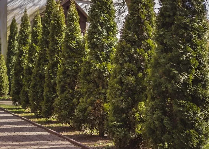 Hostel 4friends&4couples Krakau