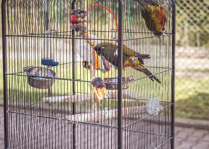 4friends&4couples Krakau