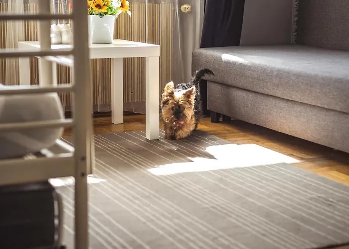 旅馆 4friends&4couples 克拉科夫