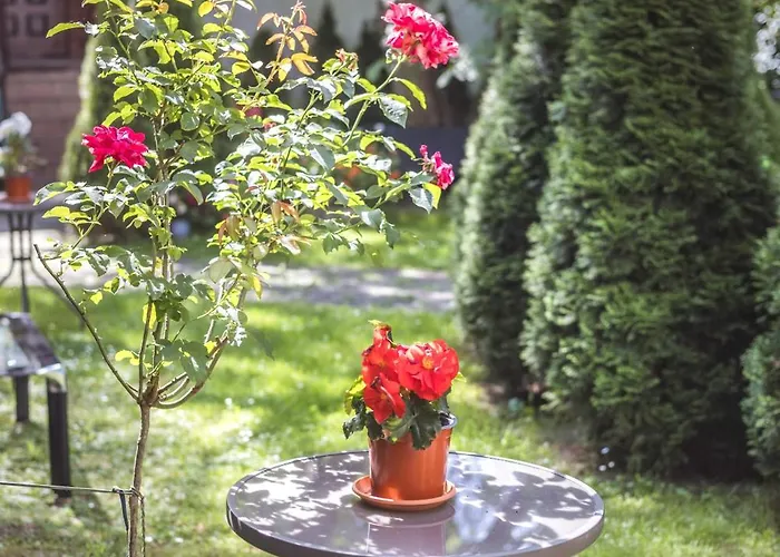 4friends&4couples 旅馆